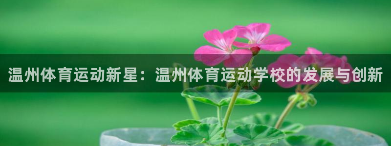 vsport体育官方正版app开户