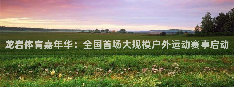 vsport体育官网下载是干嘛的公司：龙岩体育嘉年华