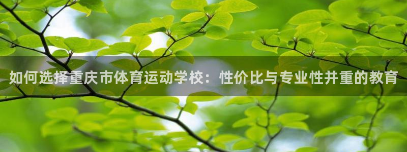 vsport体育官网下载招商电话号码查询：如何选择重