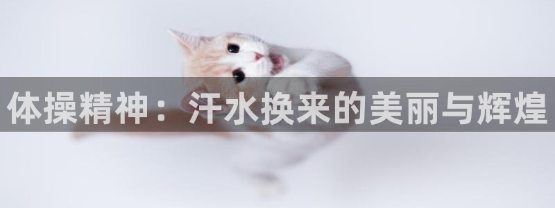 vsport体育官网下载招商电话号码查询是多少：体操