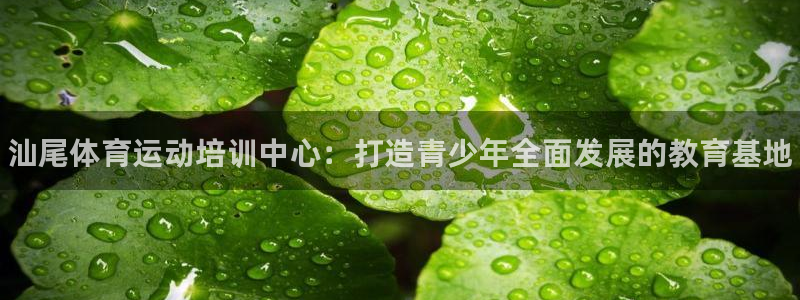 vsport体育官方正版app五金厂：汕尾体育运动培