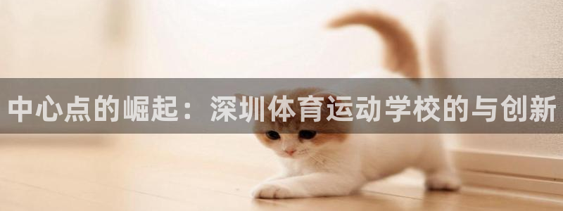 vsport体育官方正版app新能源：中心点的崛起：深圳体育