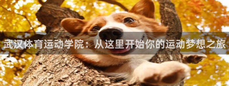 vsport体育官网下载平台注册：武汉体育运动学院：