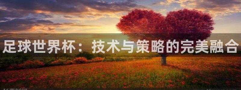 注册vsport体育官方正版app：足球世界杯：技术