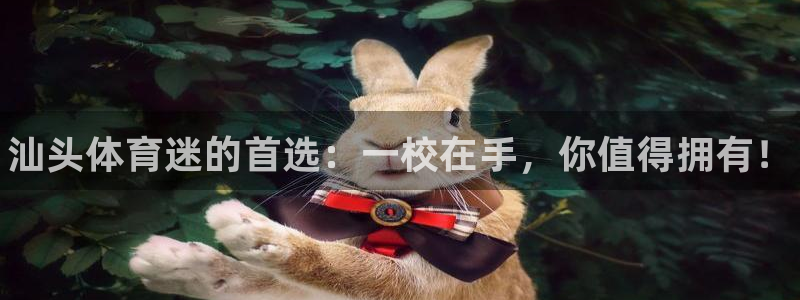 vsport体育官方正版app新能源：汕头体育迷的首选：一校