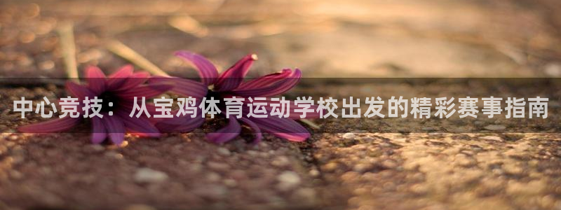vsport体育官网下载平台是正规平台吗：中心竞技：从宝鸡体