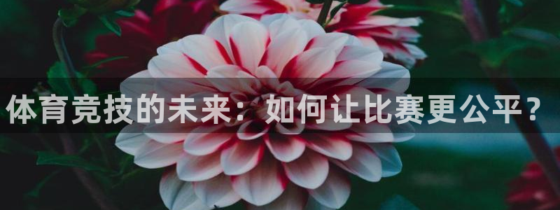 vsport体育官网下载平台是正规平台吗知乎：体育竞技的未来