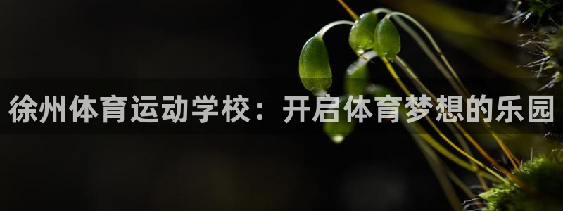 vsport体育官网下载招商电话号码查询是多少：徐州
