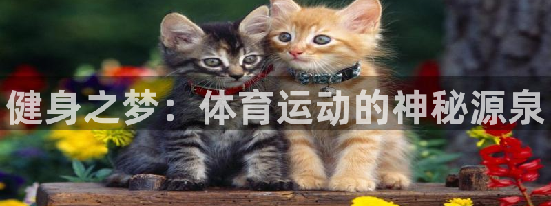 vsport体育官网下载开户：健身之梦：体育运动的神