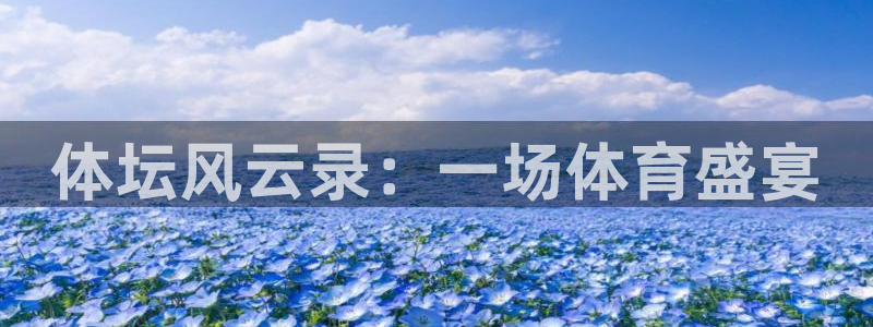vsport体育官网下载平台：体坛风云录：一场体育盛