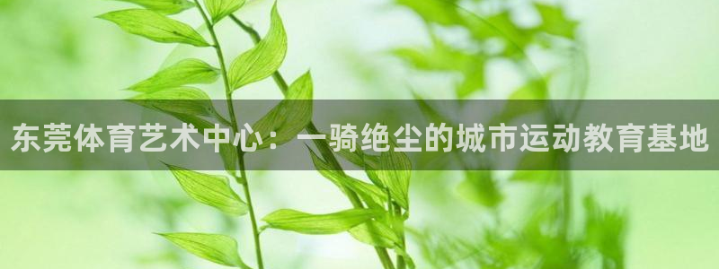 vsport体育官方正版app神州：东莞体育艺术中心