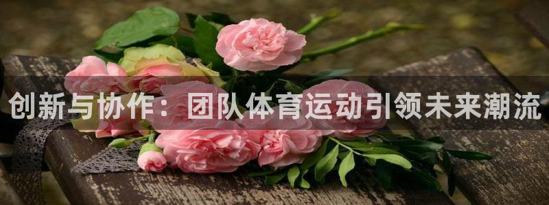 vsport体育官方正版app娱乐首页网站大全：创新与协作：