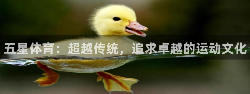 vsport体育官方正版app娱乐代理怎么样：五星体