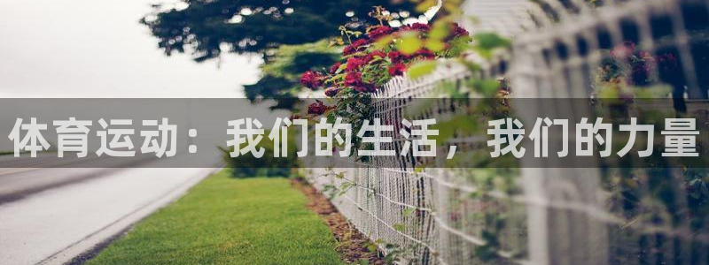 vsport体育官网下载招商电话号码查询：体育运动：