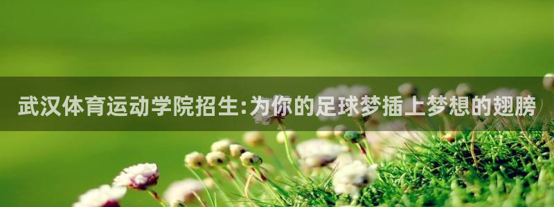 vsport体育官方正版app官网：武汉体育运动学院