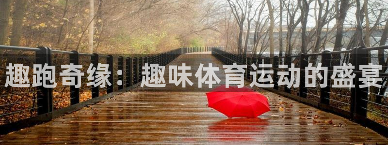 vsport体育官网下载平台注册流程视频：趣跑奇缘：