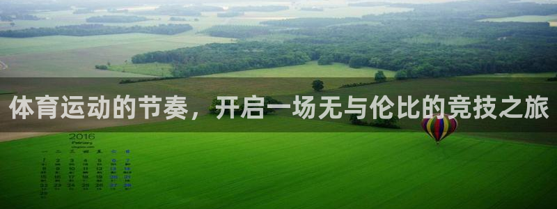 vsport体育官方正版app集团简介：体育运动的节