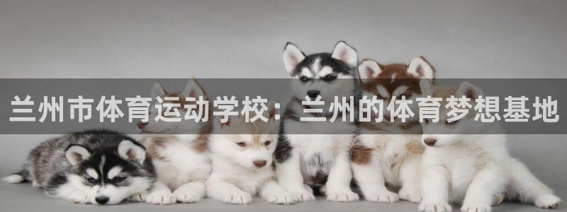 vsport体育官网下载平台注册流程图：兰州市体育运