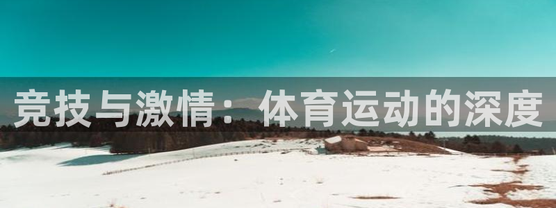 vsport体育官方正版app娱乐40996