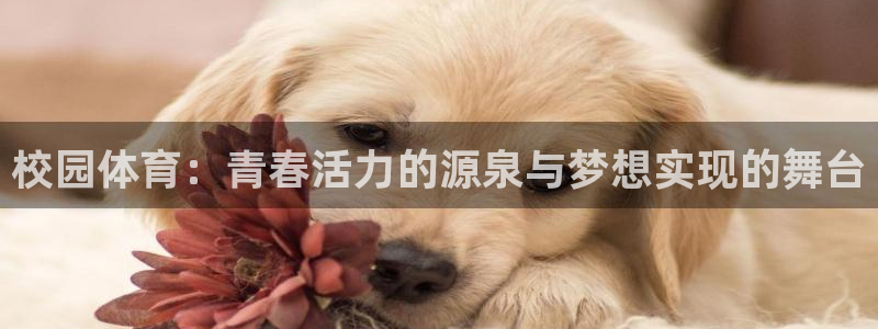 vsport体育官网下载招商电话号码查询是多少：校园体育：青