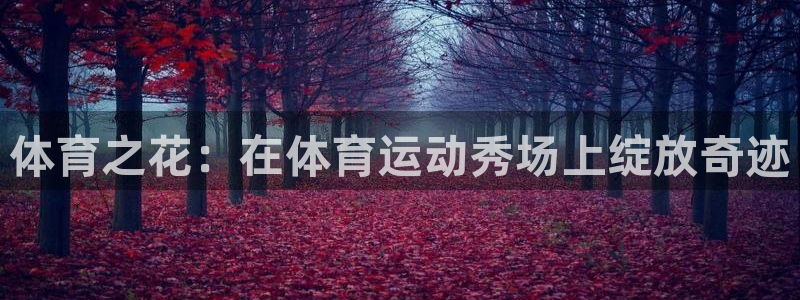 vsport体育官网下载招商电话地址