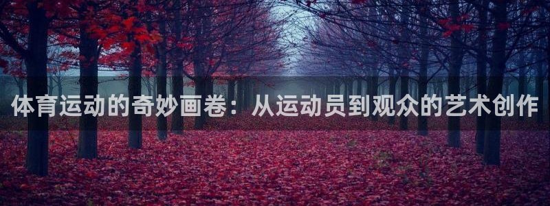 vsport体育官方正版app官网