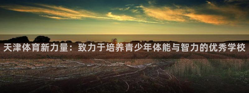 vsport体育官方正版app代理