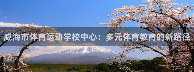 vsport体育官网下载招商电话是多少