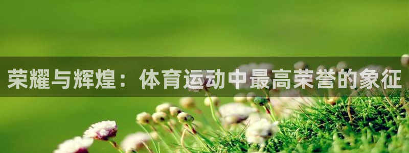 vsport体育官网下载招商电话地址是多少：荣耀与辉煌：体育