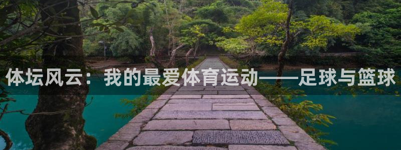 vsport体育官网下载招商电话：体坛风云：我的最爱体育运动