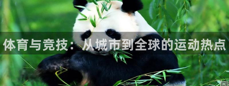 vsport体育官网下载招商电话是多少啊：体育与竞技：从城市