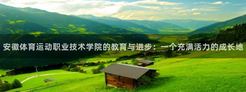 vsport体育官网下载平台：安徽体育运动职业技术学院的教育