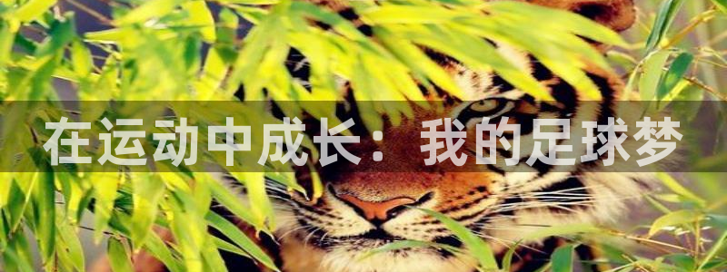 vsport体育官网下载招商电话是多少号码：在运动中成长：我