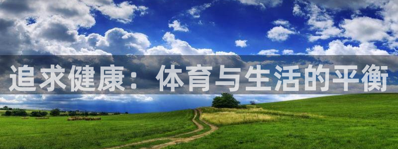 vsport体育官方正版app代理：追求健康：体育与