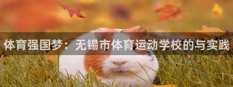 vsport体育官方正版app娱乐首页官网下载：体育