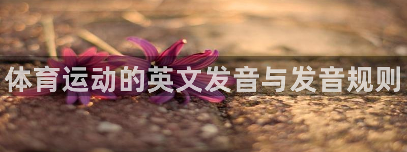 德国vsport体育官方正版app集团：体育运动的英