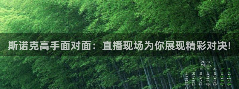 新球体育足球即时比分