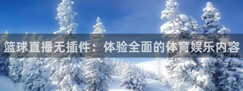 新球：篮球直播无插件：体验全面的体育娱乐内容