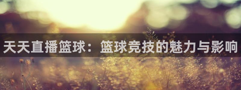 新球体育比分：天天直播篮球：篮球竞技的魅力与影响